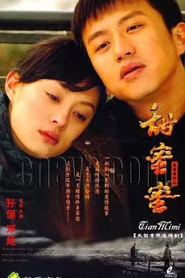 甜蜜蜜2007